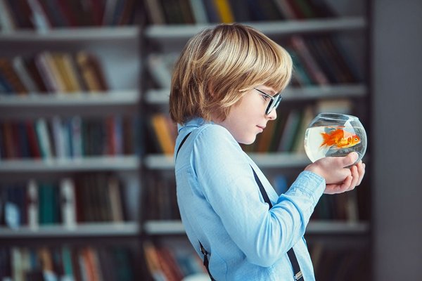 Apprendre à son enfant comment nourrir un poisson rouge